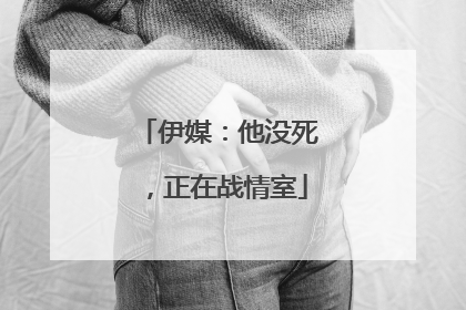 伊媒：他没死，正在战情室