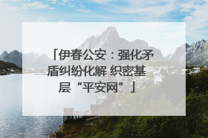 伊春公安：强化矛盾纠纷化解 织密基层“平安网”