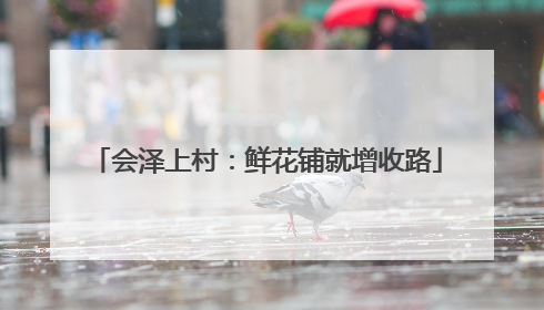 会泽上村：鲜花铺就增收路