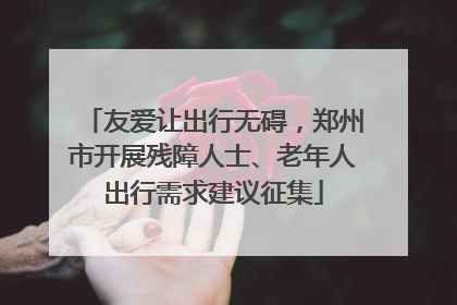 友爱让出行无碍，郑州市开展残障人士、老年人出行需求建议征集