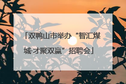 双鸭山市举办“智汇煤城·才聚双赢”招聘会