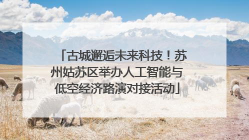 古城邂逅未来科技！苏州姑苏区举办人工智能与低空经济路演对接活动