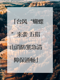台风“蝴蝶”来袭 五指山消防紧急清障保通畅