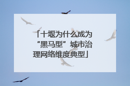 十堰为什么成为“黑马型”城市治理网络维度典型
