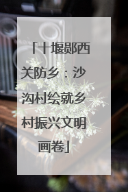 十堰郧西关防乡：沙沟村绘就乡村振兴文明画卷