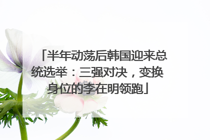 半年动荡后韩国迎来总统选举：三强对决，变换身位的李在明领跑