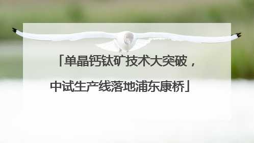 单晶钙钛矿技术大突破，中试生产线落地浦东康桥