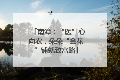 南漳：“医”心向农，朵朵“金花”铺就致富路
