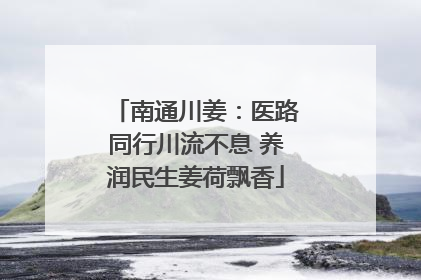 南通川姜：医路同行川流不息 养润民生姜荷飘香