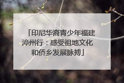 印尼华裔青少年福建漳州行：感受祖地文化和侨乡发展脉搏