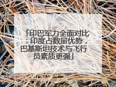 印巴军力全面对比：印度占数量优势，巴基斯坦技术与飞行员素质更强