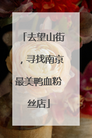 去望山街，寻找南京最美鸭血粉丝店