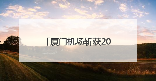厦门机场斩获2025CAPSE年度峰会四项大奖