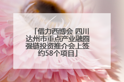 借力西博会 四川达州市重点产业融圈强链投资推介会上签约58个项目