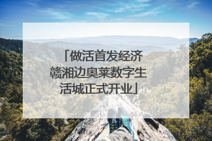 做活首发经济 赣湘边奥莱数字生活城正式开业
