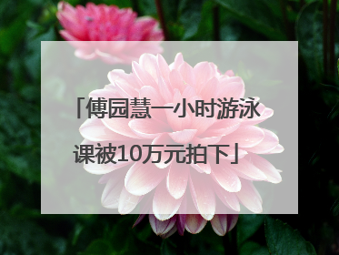 傅园慧一小时游泳课被10万元拍下
