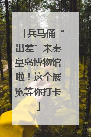 兵马俑“出差”来秦皇岛博物馆啦！这个展览等你打卡