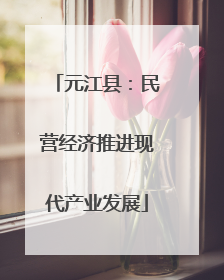 元江县：民营经济推进现代产业发展