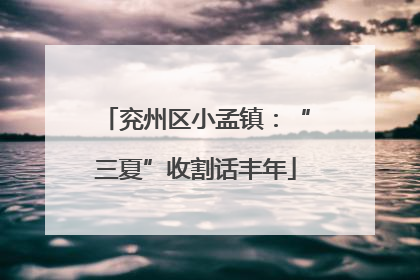 兖州区小孟镇：“三夏”收割话丰年