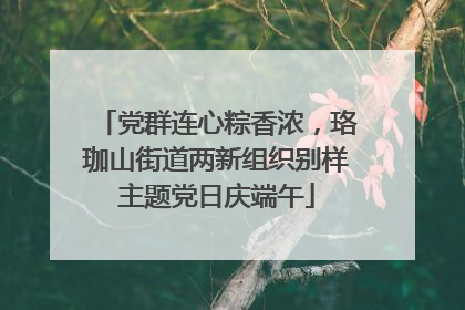 党群连心粽香浓，珞珈山街道两新组织别样主题党日庆端午