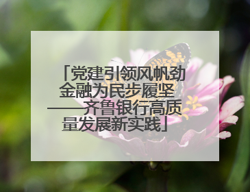 党建引领风帆劲 金融为民步履坚——齐鲁银行高质量发展新实践