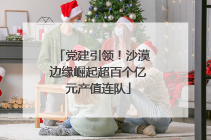 党建引领！沙漠边缘崛起超百个亿元产值连队