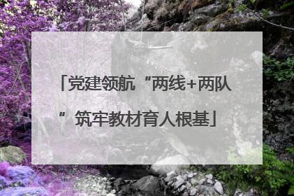 党建领航“两线+两队”筑牢教材育人根基