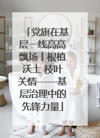 党旗在基层一线高高飘扬丨根植沃土 枝叶关情——基层治理中的先锋力量