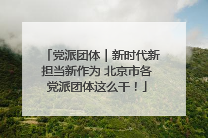 党派团体｜新时代新担当新作为 北京市各党派团体这么干！