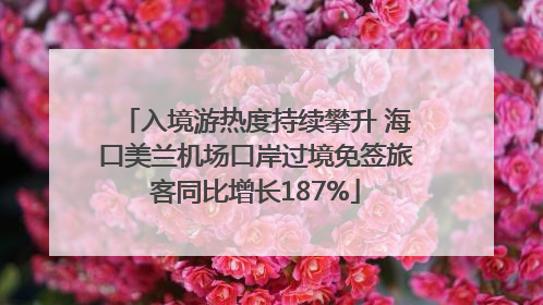 入境游热度持续攀升 海口美兰机场口岸过境免签旅客同比增长187%