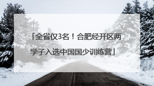 全省仅3名！合肥经开区两学子入选中国国少训练营