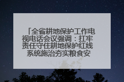 全省耕地保护工作电视电话会议强调：扛牢责任守住耕地保护红线 系统施治夯实粮食安全根基 王宁作出批示 王予波出席并讲话