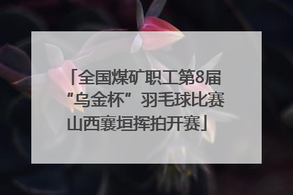 全国煤矿职工第8届“乌金杯”羽毛球比赛山西襄垣挥拍开赛