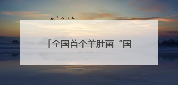 全国首个羊肚菌“国字号”盛会启幕，天府菌都交易中心开市