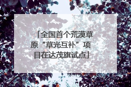 全国首个荒漠草原“草光互补”项目在达茂旗试点