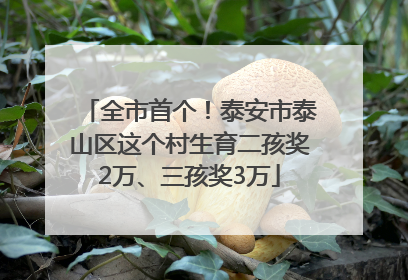全市首个！泰安市泰山区这个村生育二孩奖2万、三孩奖3万