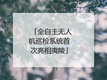 全自主无人机巡检系统首次亮相夷陵
