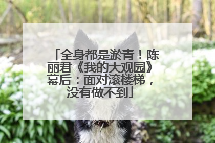 全身都是淤青！陈丽君《我的大观园》幕后：面对滚楼梯，没有做不到