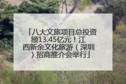 八大文旅项目总投资额13.45亿元！江西新余文化旅游（深圳）招商推介会举行