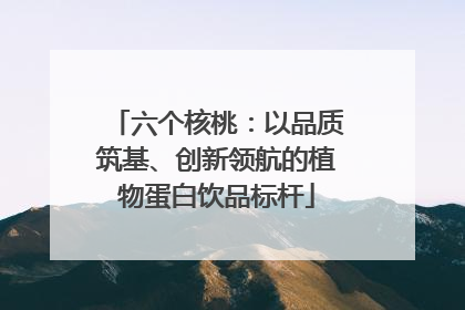 六个核桃：以品质筑基、创新领航的植物蛋白饮品标杆