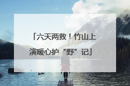 六天两救！竹山上演暖心护“野”记