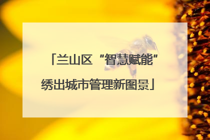 兰山区“智慧赋能”绣出城市管理新图景