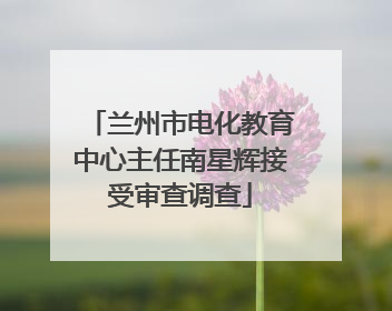 兰州市电化教育中心主任南星辉接受审查调查