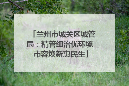 兰州市城关区城管局：精管细治优环境 市容焕新惠民生