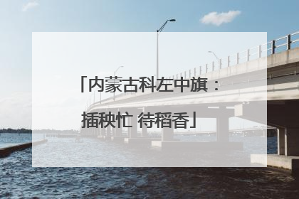 内蒙古科左中旗：插秧忙 待稻香