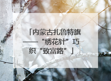 内蒙古扎鲁特旗——“绣花针”巧织“致富路”