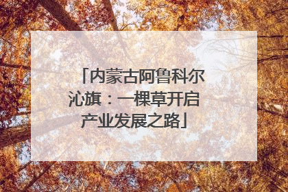 内蒙古阿鲁科尔沁旗：一棵草开启产业发展之路