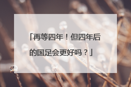 再等四年！但四年后的国足会更好吗？
