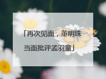 再次见面，董明珠当面批评孟羽童