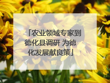 农业领域专家到德化县调研 为德化发展献良策